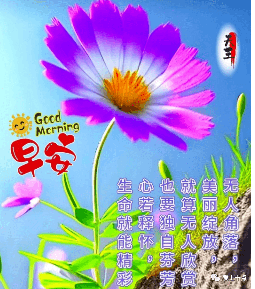 今日最新早上好表情图片大全,祝福问候,开心每天,一生平安_生活_朋友