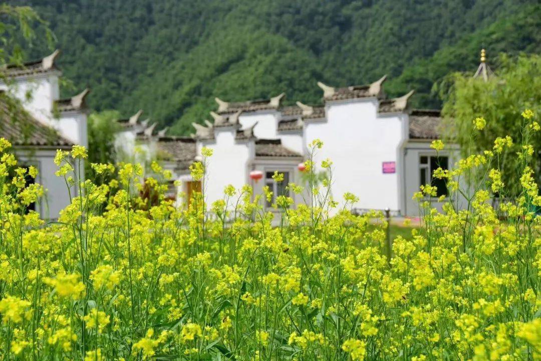 鞍山岫岩水巷风景区图片