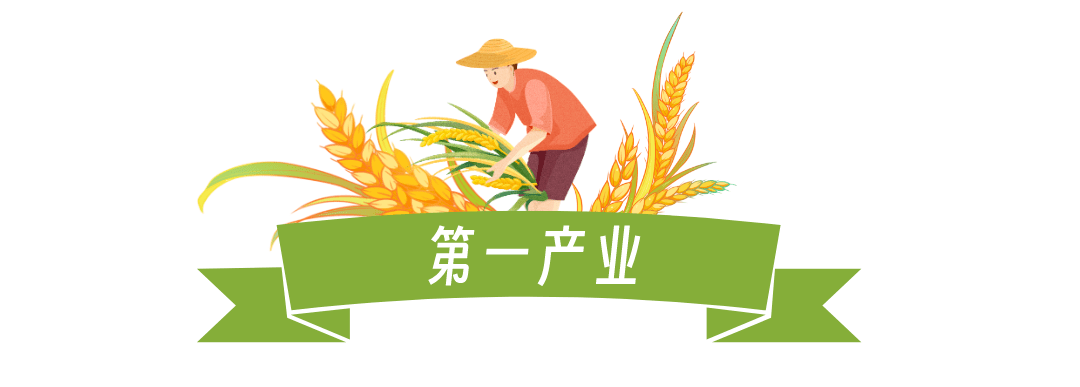 【微课堂·学统计】三次产业是如何划分的?_服务业_活动_经济