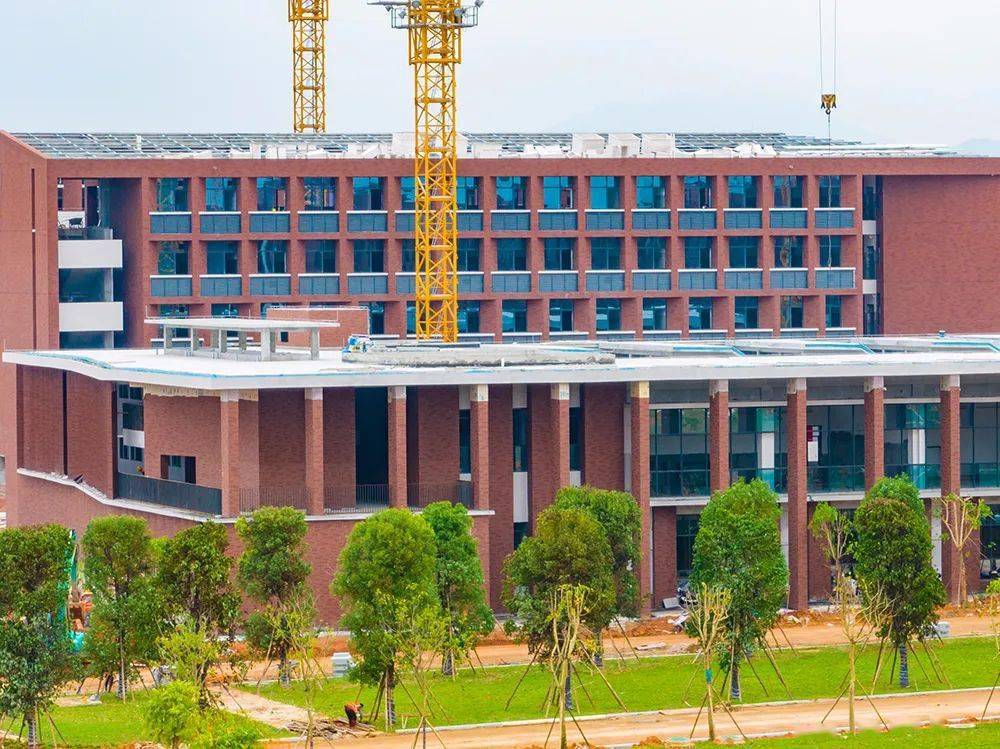 阳西一中新校区建设进入室内装修阶段_项目_施工人员_材料