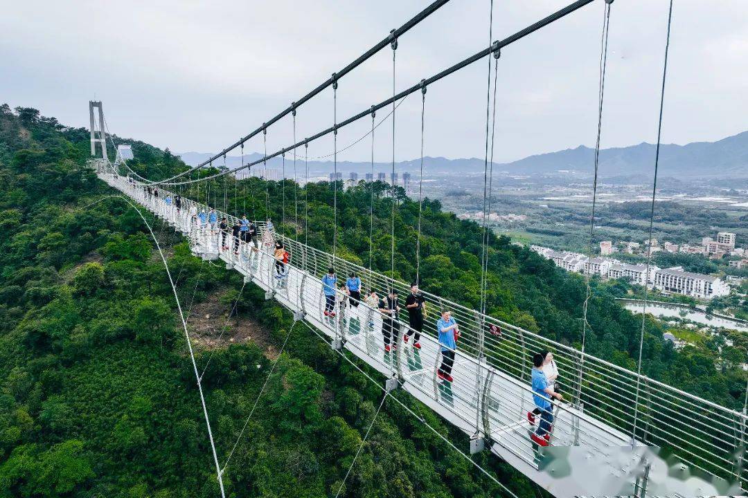 六一fun肆游|高空玻璃桥,喂羊驼,十多项机动游戏……带您玩转南丹山!