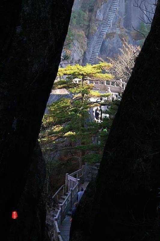 【他山之石】五岳归来不看山 黄山归来欲成仙 旅游 迎客松 游客