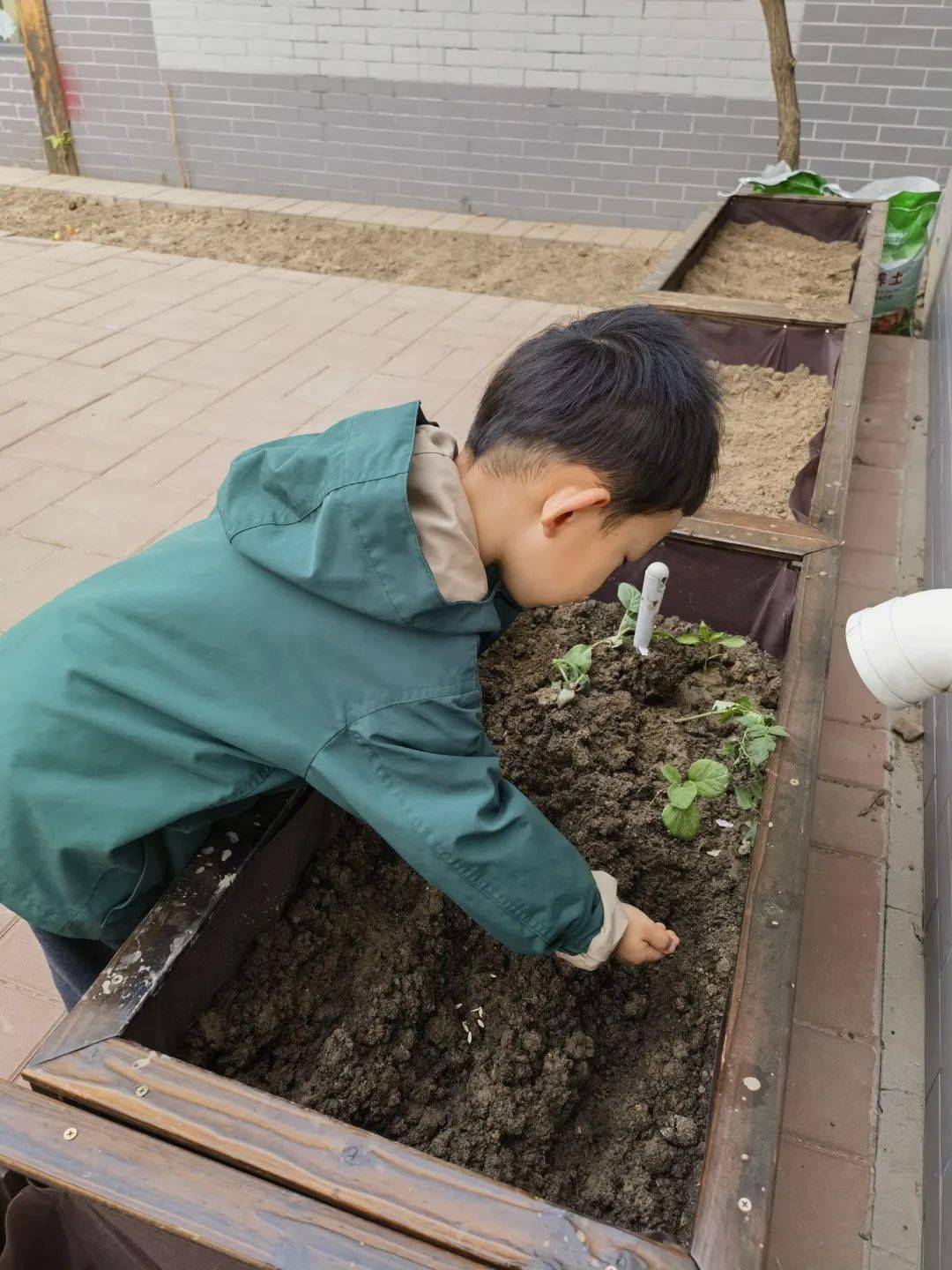 幼儿园 