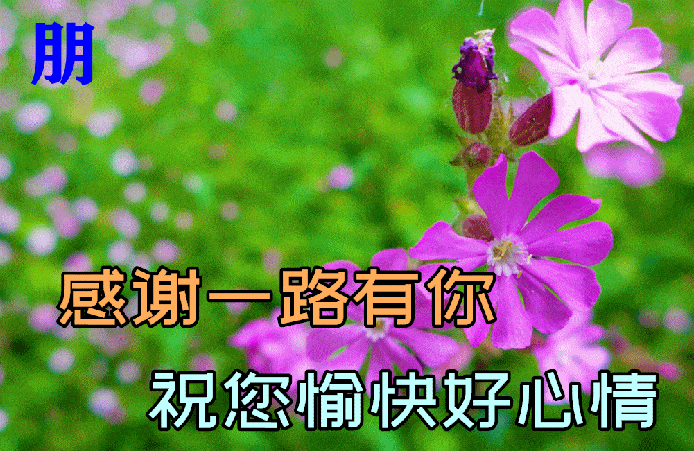 早上好问候语温馨短句，清晨问候早上好的短句子（早晨好的问候句子暖心）