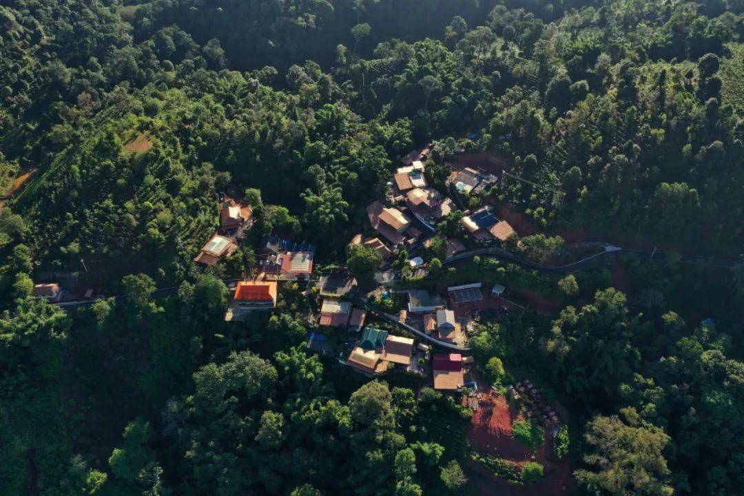 【图说美好新时代】景洪基诺山乡:绘就乡村振兴新画卷 奏响幸福生活新