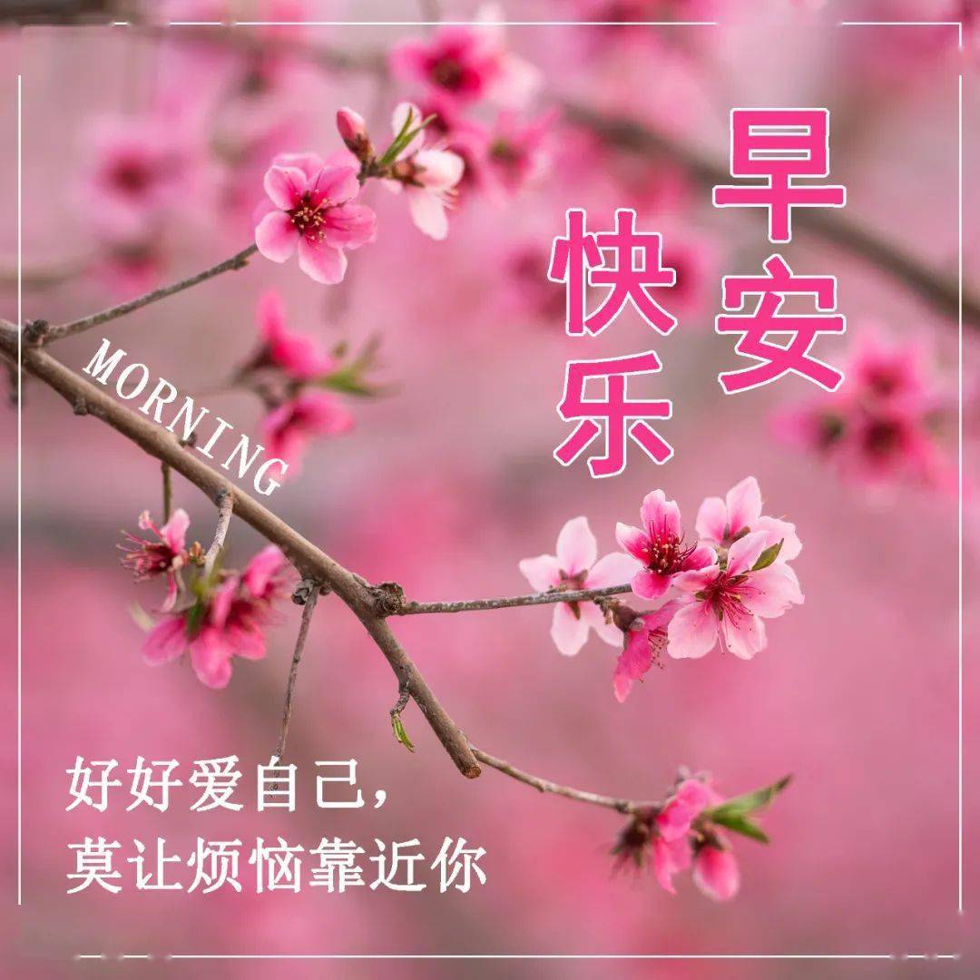 最新版早安祝福圖片,早上好精句短語_生活_人生_問候