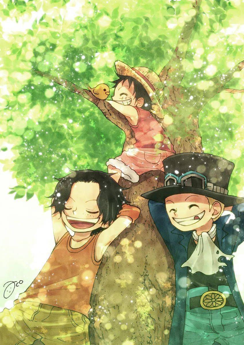 海贼王asl三小只插图_aco