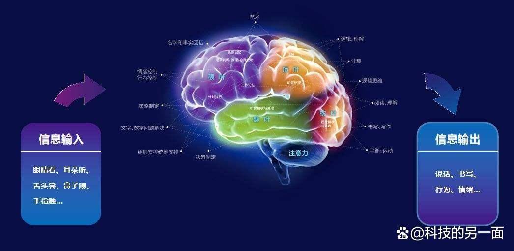 揭秘人类脑计划与网上大量的“脑控”受害者