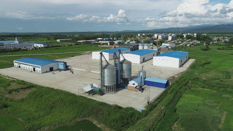 乡味丨黑土地长出"黑珍珠" "链"起致富"稻"_庆阳农场_种植户_产业