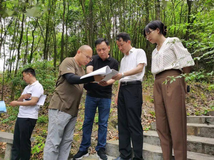 黄山市歙县林业局局长图片