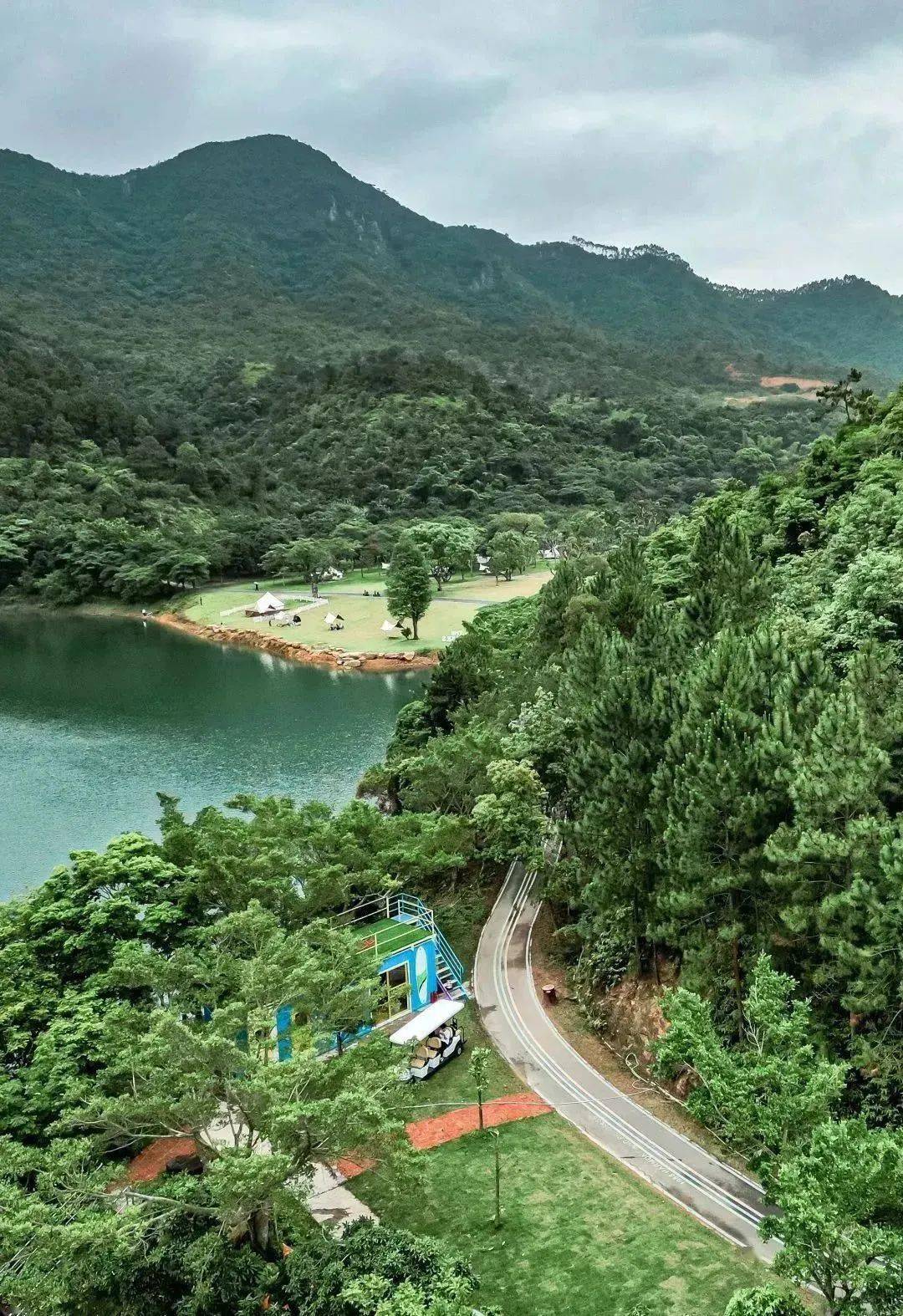 仙境驾车穿过山林小路导航定位青巽山森林公园非常具有异域美感the