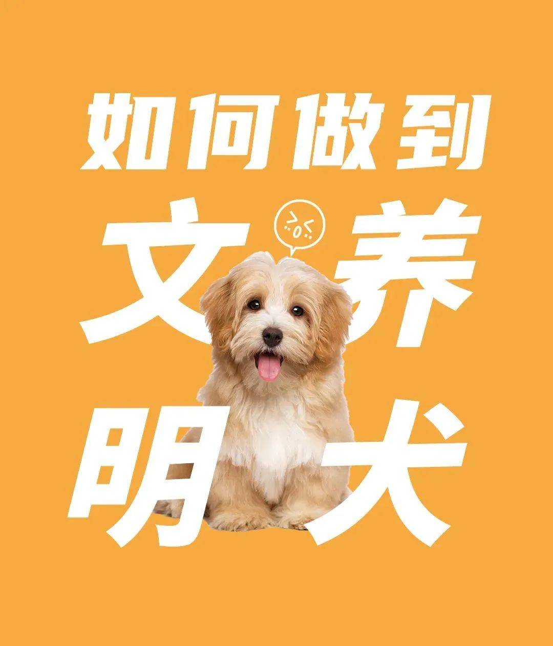 传销_进行_市公安局