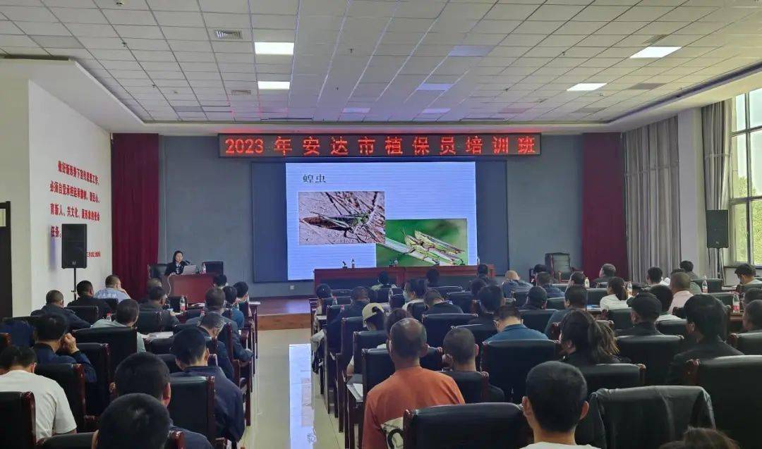 省植检植保站持续派出专家组下沉基层开展监测点植保员培训指导服务
