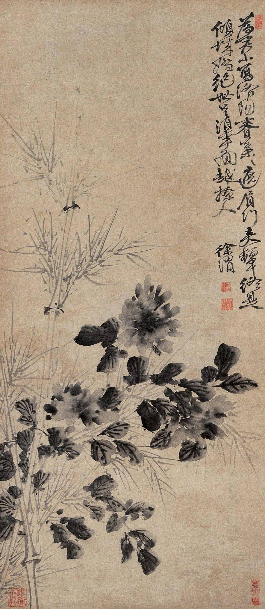 徐渭写竹，狂放不羁，墨气淋漓_水仙_竹子_竹卷