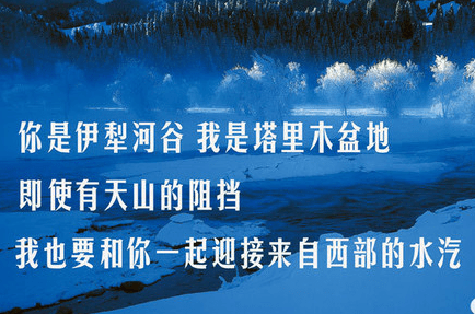 文章配图-16