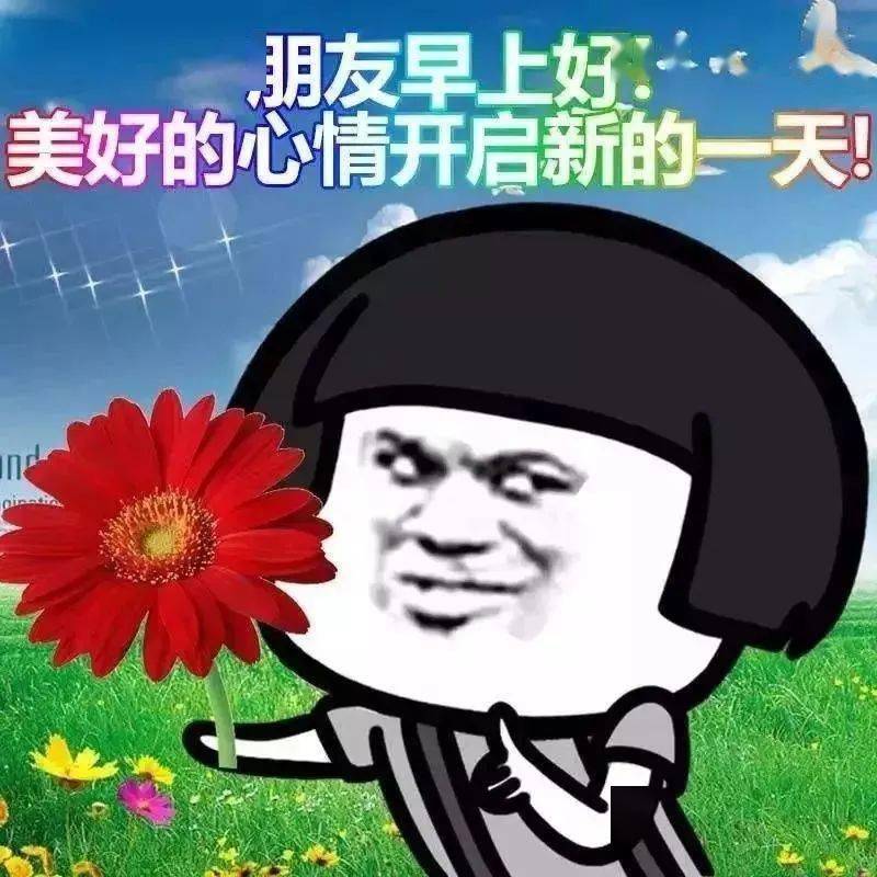 今日最新早上好图片大全，早安唯美图片，早上好美图-早上好图片带字温馨图片2020年