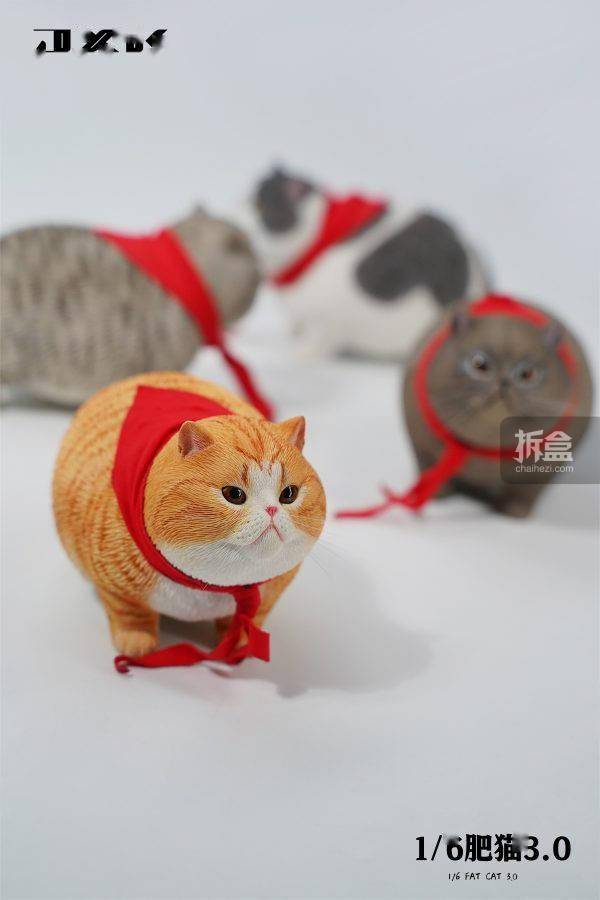 JXK 1/6 肥猫3.0 可爱萌系猫咪宠物模型摆件手办潮玩_搜狐网
