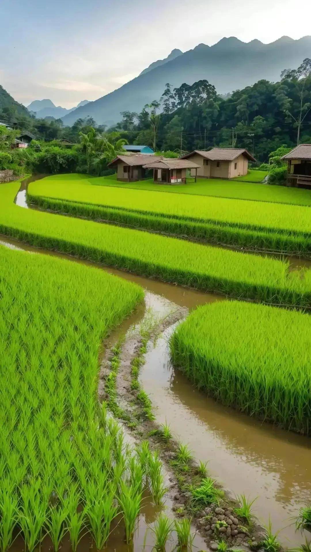 清新脱俗风景图片图片