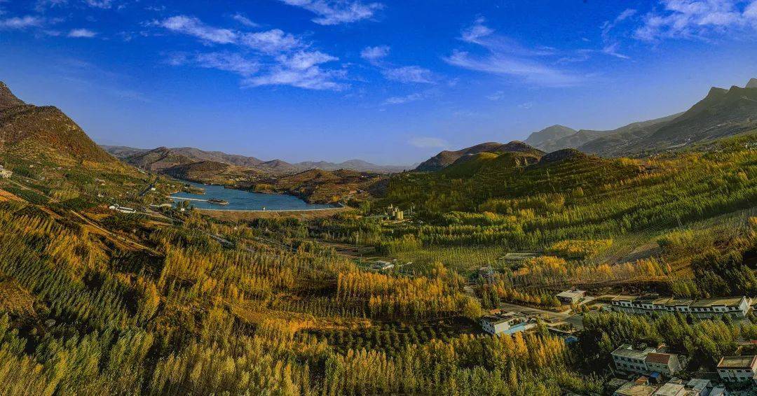 踔厉奋发 勇争一流 ▏田黄镇一周工作回顾(第十七期)_活动_邹城市