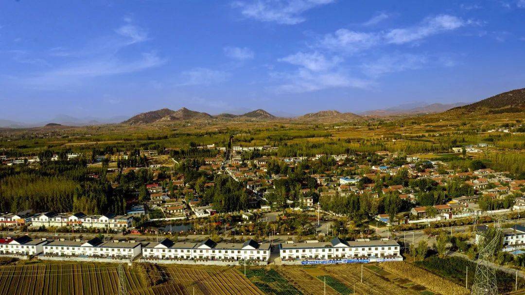 踔厉奋发 勇争一流 ▏田黄镇一周工作回顾(第十七期)_活动_邹城市