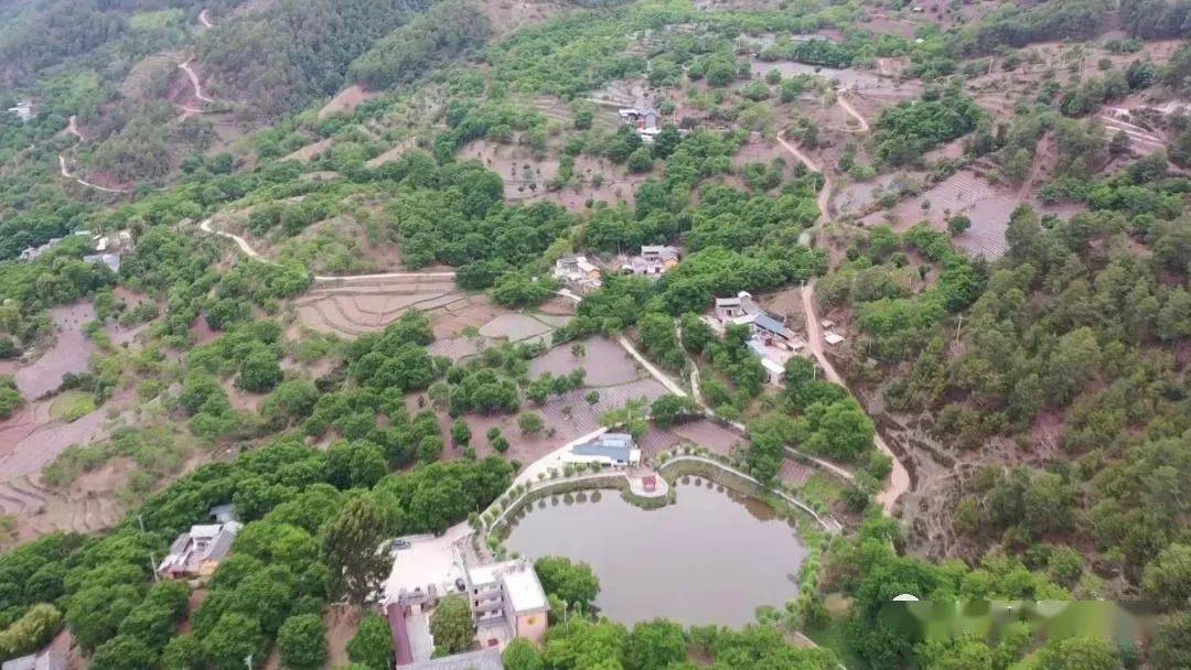 云龙县团结乡:彝乡绽放团结花_活动_中华民族_进步