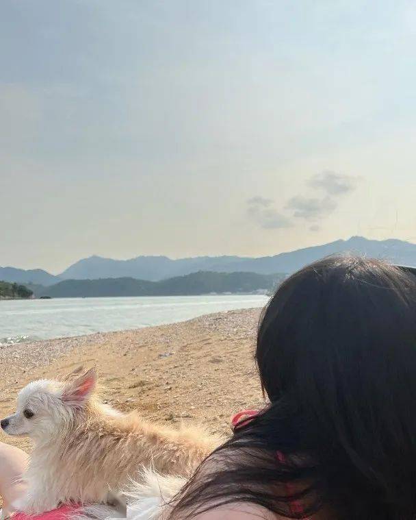 陈滢沙滩放狗 局部式晒身材