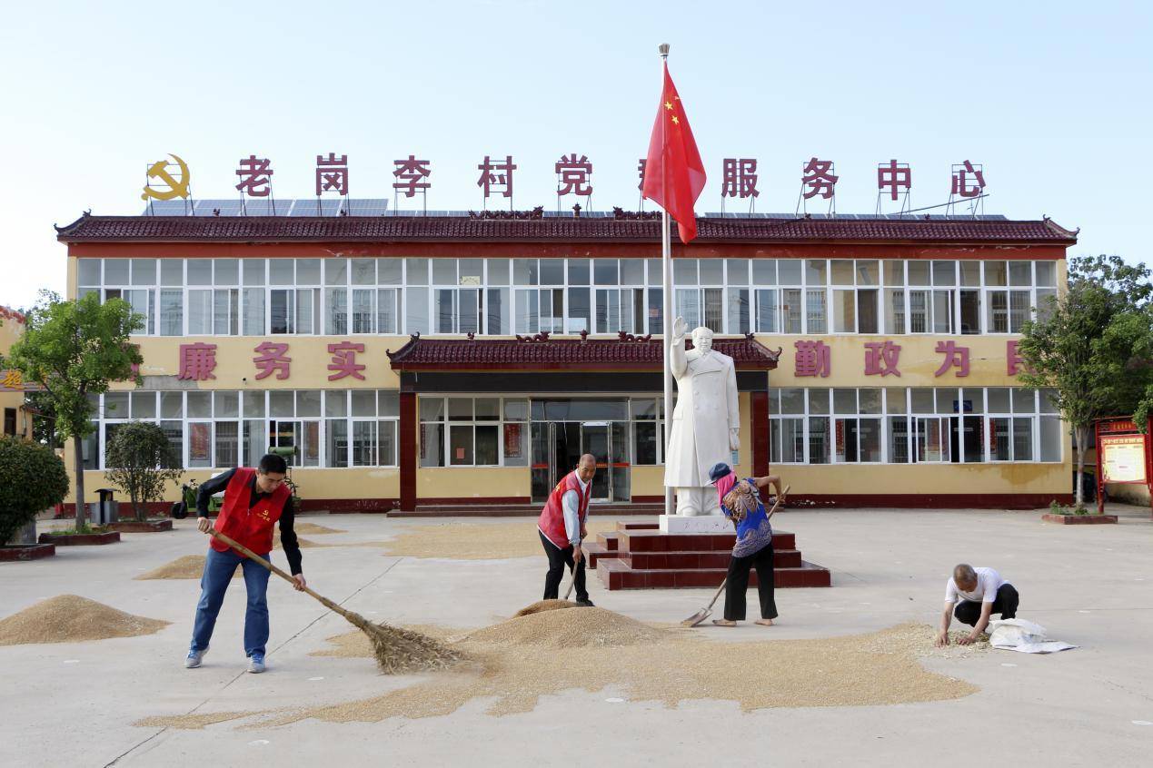 新闻关注|长葛市石固镇抢抓小麦收割黄金期奋力战"三夏"_工作_生产_群