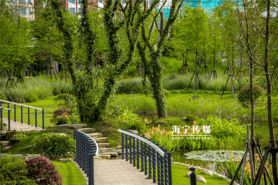 海宁鹃湖,你怎么那么好看!就在后天,一起燥起来!