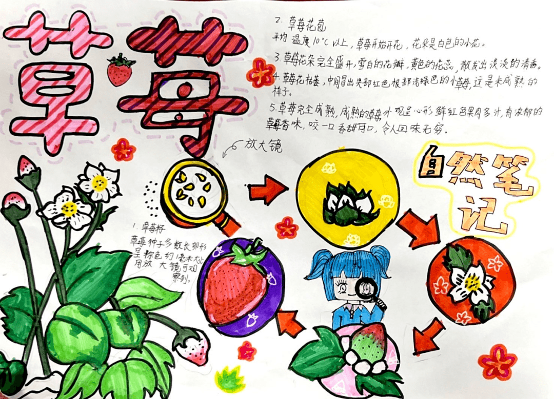 童心献礼十周年 科技筑梦向未来——"苹果树"科技节之中年段自然笔记