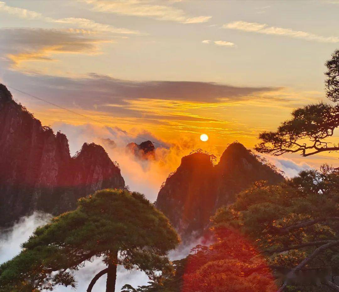 荣志宏 摄汪迎丰 摄苏青 摄汪迎丰 摄叶小琴 摄张宁 摄李琴 摄姚建军