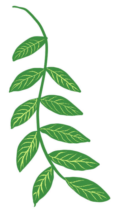 促进全社会牢固树立绿水青山就是金山银山的理念,形成简约适度,绿色