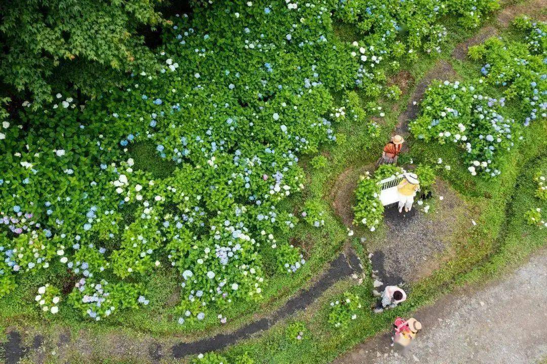 可以铺上毯子享受一段难得的闲暇时光当你身处鹿野花塔这一刻山野之风