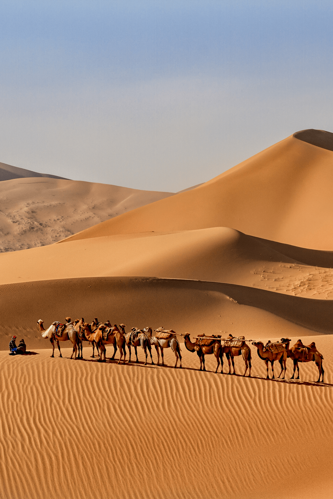 51566内蒙古还是我国古长城保存最多,最长的省区,中国岩画最丰富