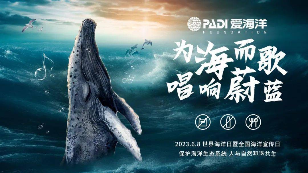 2023年世界海洋日,守蔚那片蓝,做海洋少年!_大海_公益_活动