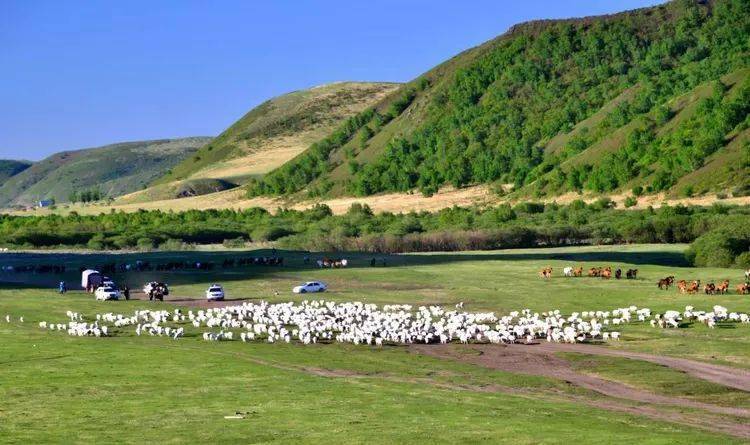 寻"品"赤峰(一) | 千年传承 净土天成一一阿鲁科尔沁草原游牧转场