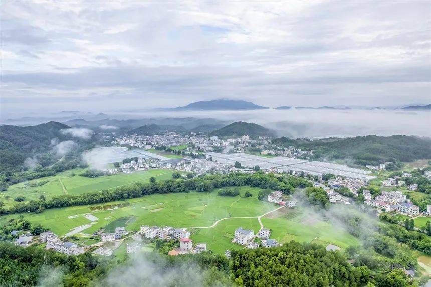 6月8日,群山环抱,云雾缭绕下的江西省赣州市信丰县大桥镇风景如画.