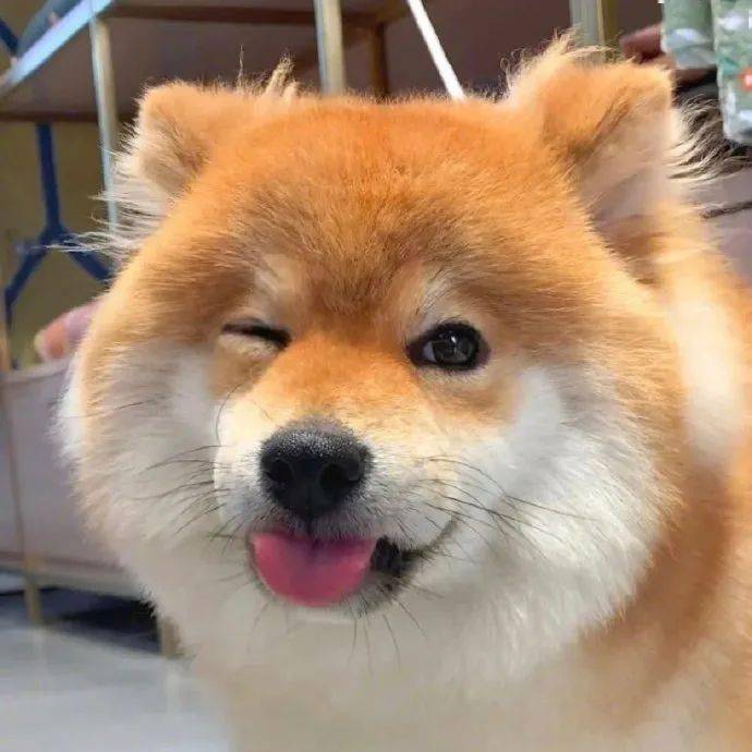 头像|363436373039 高级潮流头像_质疑_最好的_日向