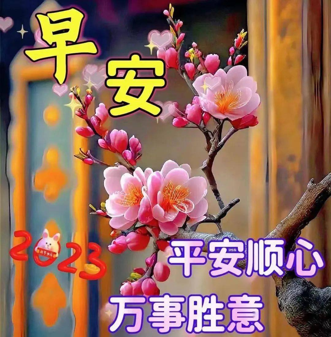 今日最新早上好表情图片大全,简单问候,祝福无限