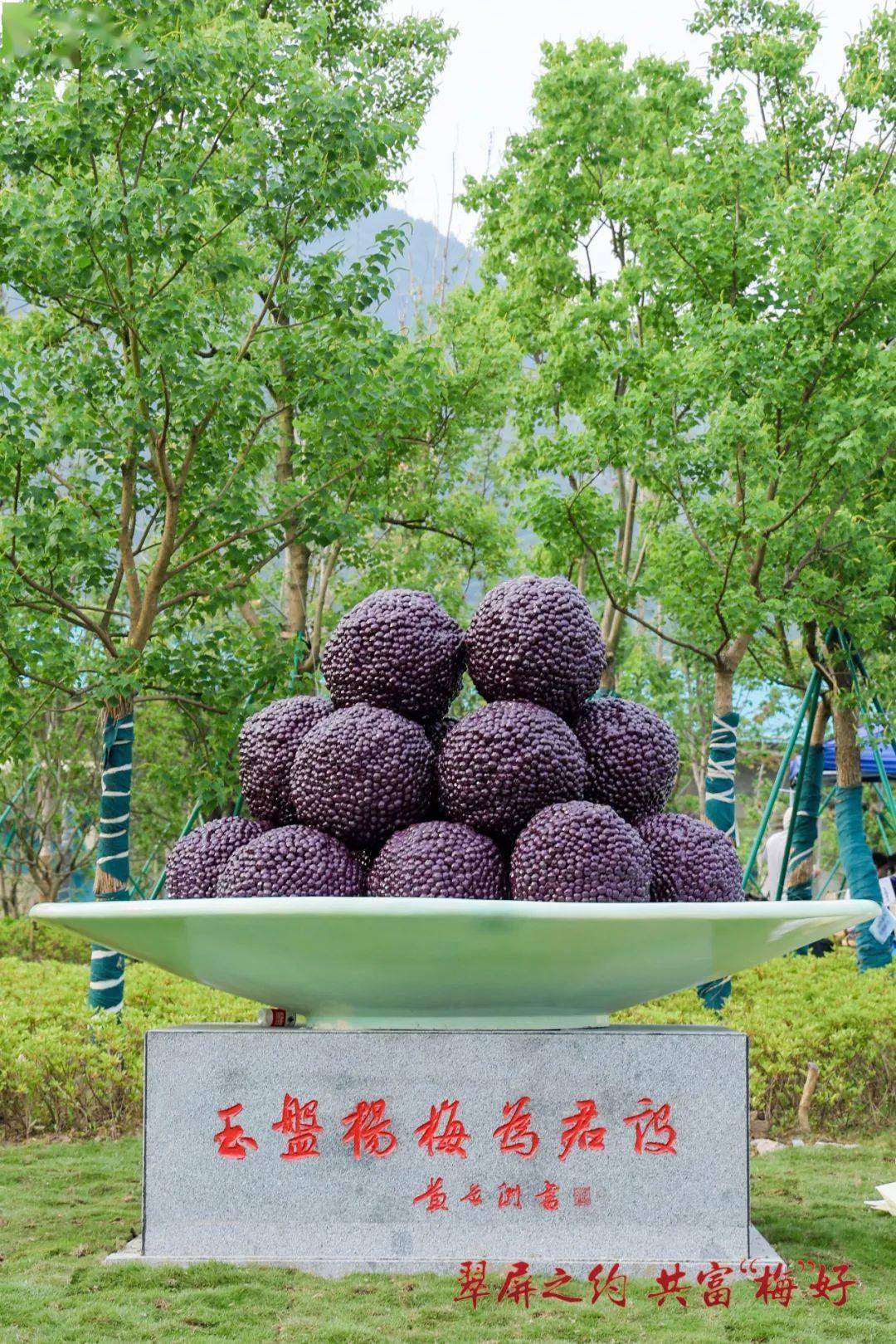 上午橫河鎮楊梅園採摘 大山登山健身步道——下午孫家境宗祠或美麗