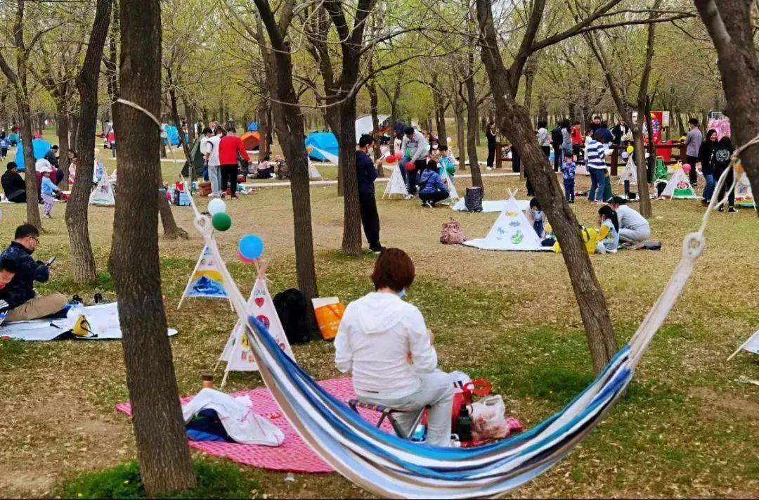 考生持准考证享入园门票10元优惠津城静园凭学生证,2023年准考证,门票