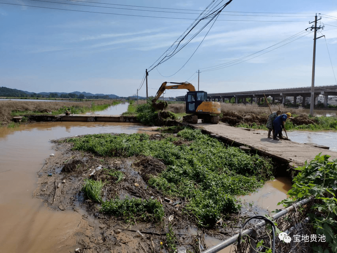 牛头山镇整治人居"小环境" 擦亮乡村"高颜值"_贵池区_生活_微信