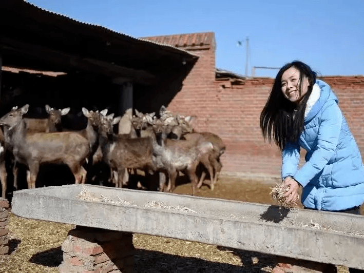 预告| 今晚播出:90后乡村致富带头人——王娇_长春市_产品推介_创业