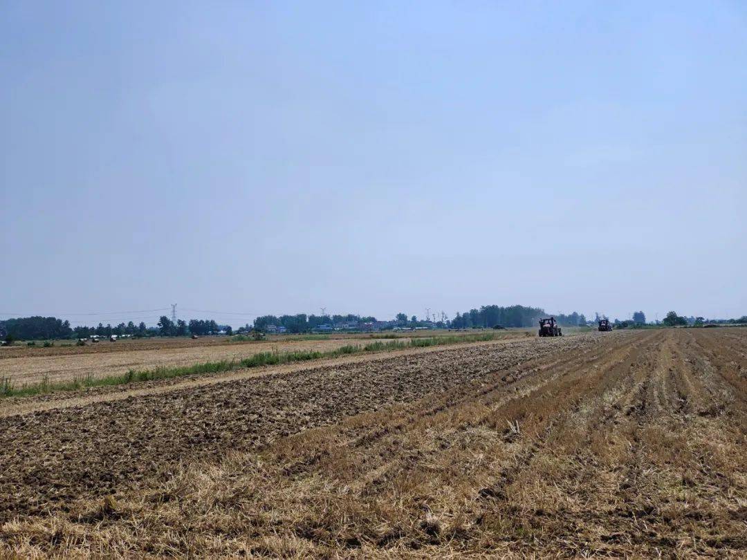 【直击"三夏"】怀远县魏庄镇:土地"大托管"加速夏种进度良种良法夯实