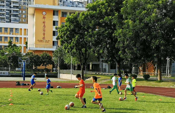 钟村奥园学校图片