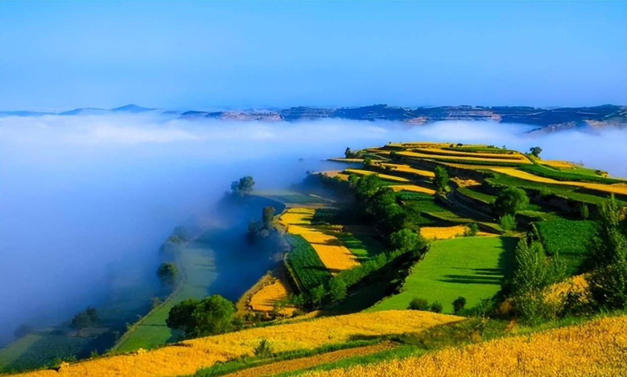 静宁_苹果_梯田