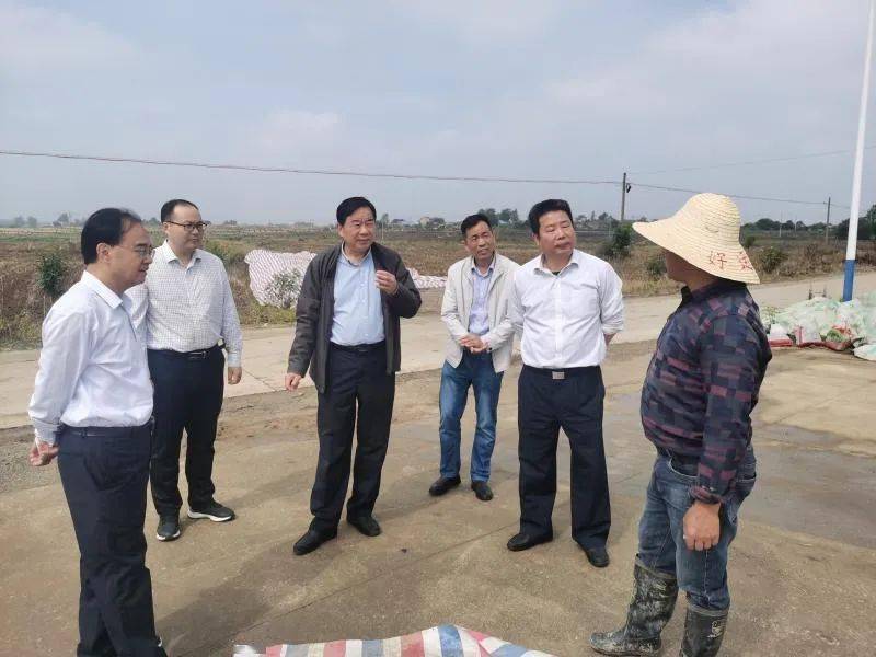 马三九一行先后深入全椒县大墅粮站,黄庵粮站,白酒粮站,来安县武集