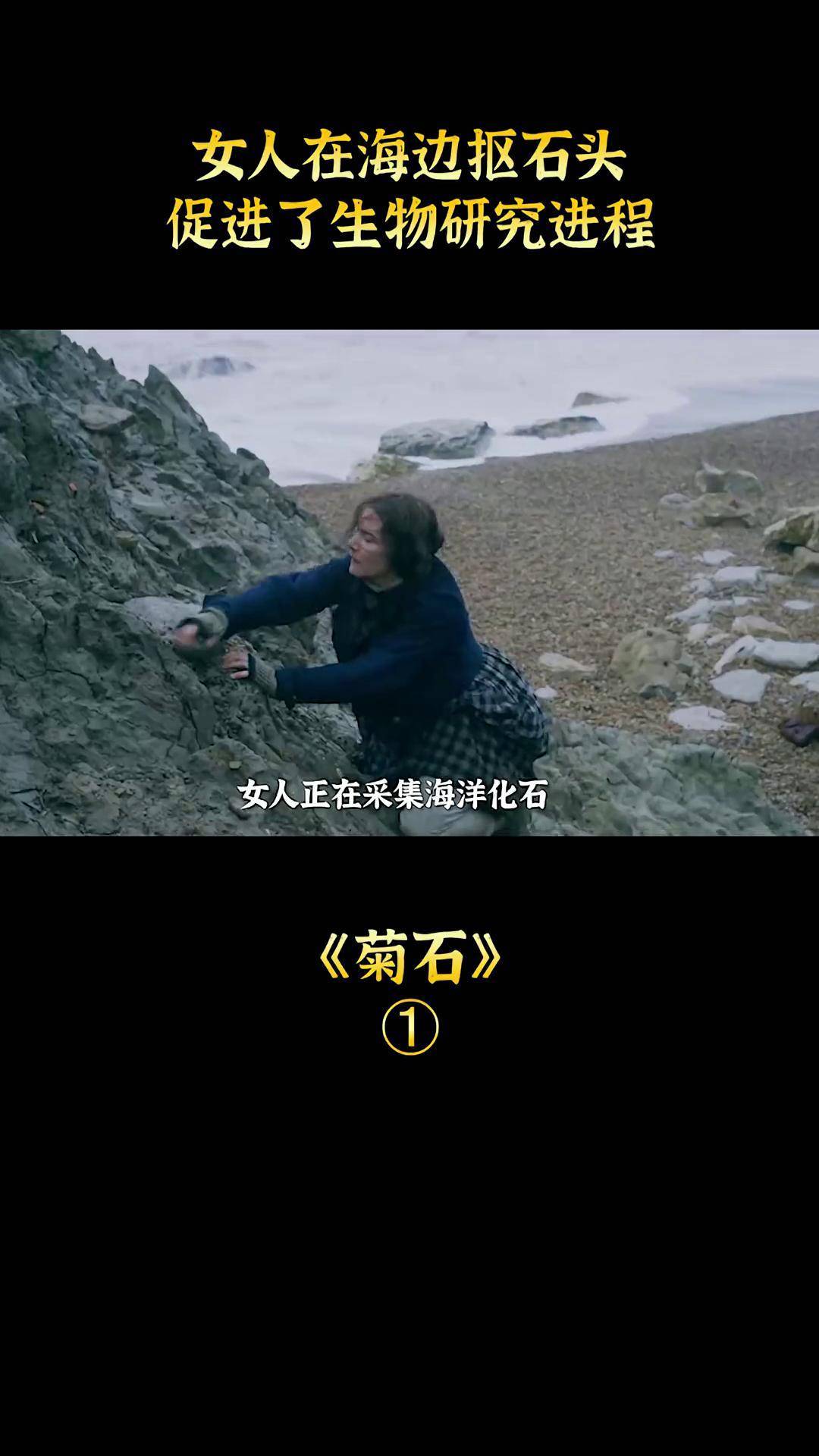 海边女人剧情介绍图片