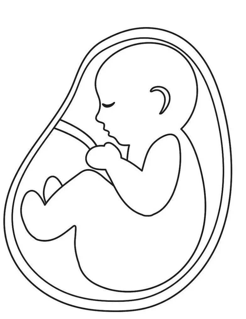 科普一分钟 | 关于弓形虫病这些知识要了解_刚地_临床_症状