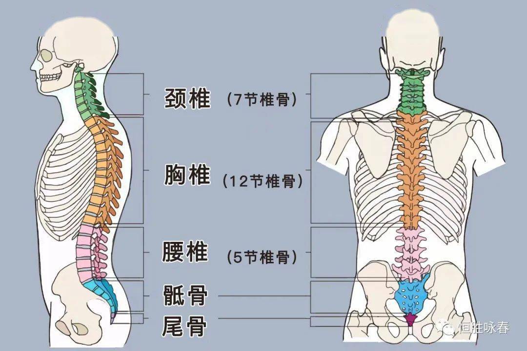 国家级非遗佛山咏春拳健康知识讲座