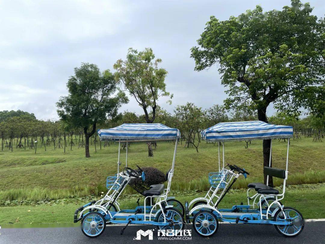 网友吐槽露天矿生态公园的哈啰景区车:骑不了还乱扣费,投诉也没用!